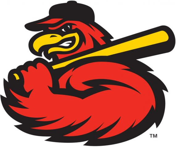 Rochester Red Wings 2014-Pres Alternate Logo 4 vinyl decal